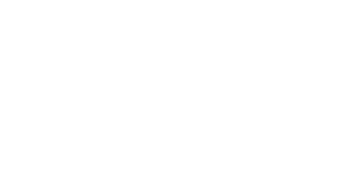 Meta Business Partner