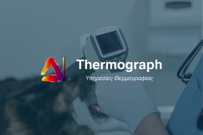 Thermograph